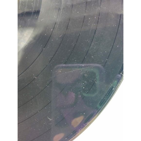 Vintage Lefty Shafer Fiddles Sings & Whistles Vinyl LP Record SIGNED Autographed - Picture 11 of 12